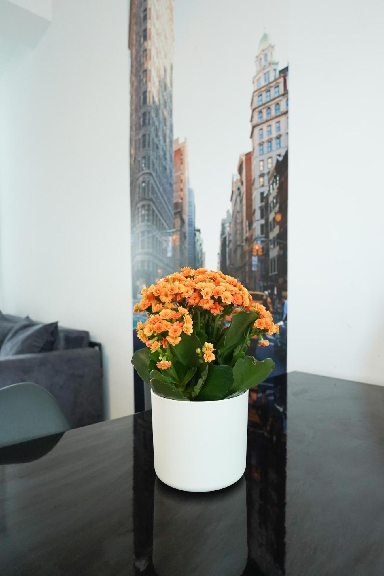 Andrew Apartaments Kolozsvár Kültér fotó